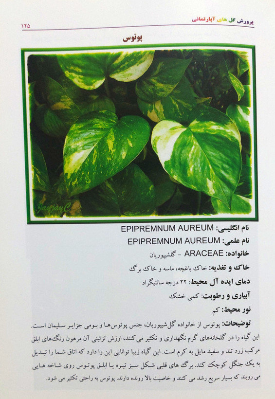 کتاب پرورش و نگهداری گلهای آپارتمانی و خانگی